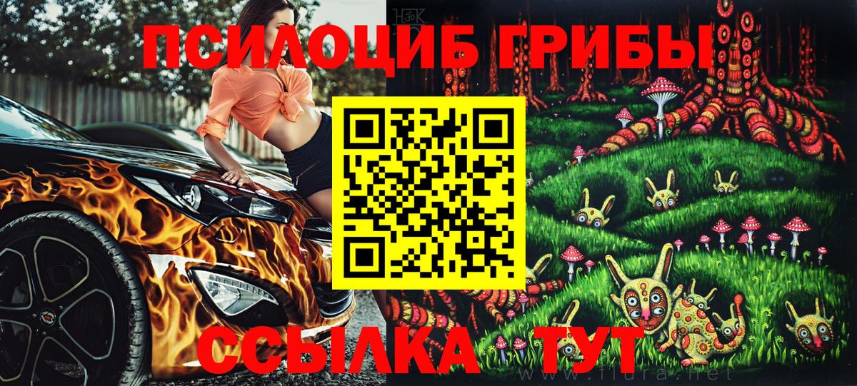 Тулун  где найти   Вход с VPN  Псилоцибиновые грибы Magic Shrooms 